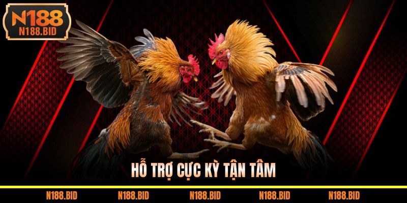 Hỗ trợ cực kỳ tận tâm