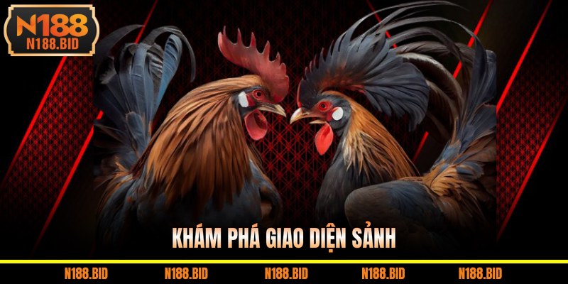 Khám phá giao diện sảnh
