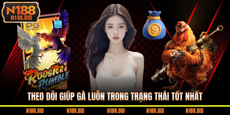 Theo dõi giúp gà luôn trong trạng thái tốt nhất