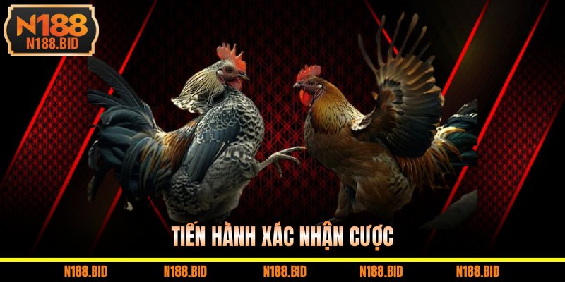 Tiến hành xác nhận cược